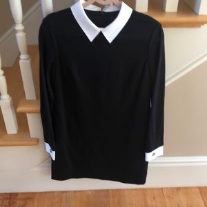 Beautiful Black Cynthia Steffe shift dress with pristine white collar never worn